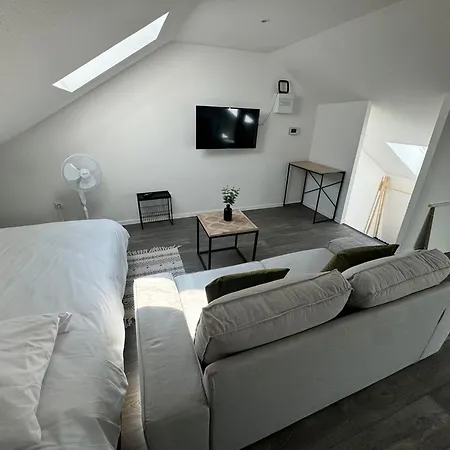 Eucalyptus Elegant Et Fonctionnel Centre Apartment Mulhouse