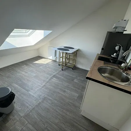 Apartment Eucalyptus Elegant Et Fonctionnel Centre Mulhouse