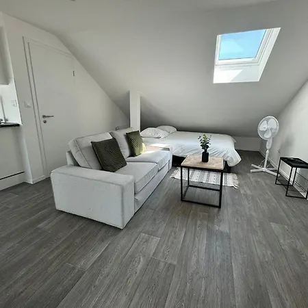 Eucalyptus  Centre Ville, Stationnement Gratuit Et Proche Tram Appartement Mulhouse