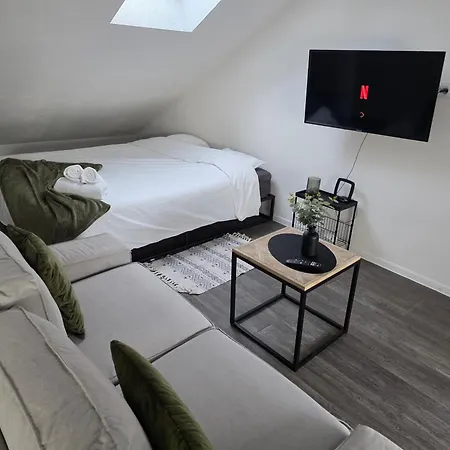 Eucalyptus  Centre Ville, Stationnement Gratuit Et Proche Tram Mulhouse