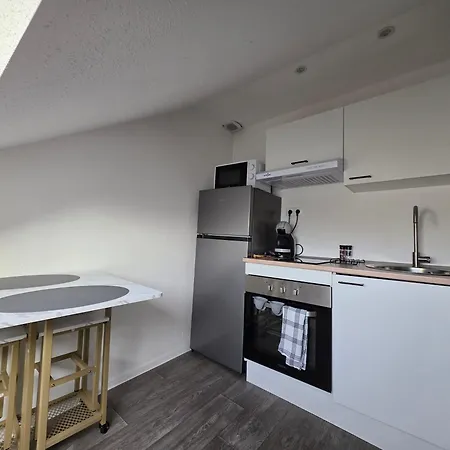 Eucalyptus  Centre Ville, Stationnement Gratuit Et Proche Tram * Mulhouse