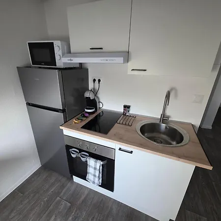 Appartement Eucalyptus  Centre Ville, Stationnement Gratuit Et Proche Tram Mulhouse