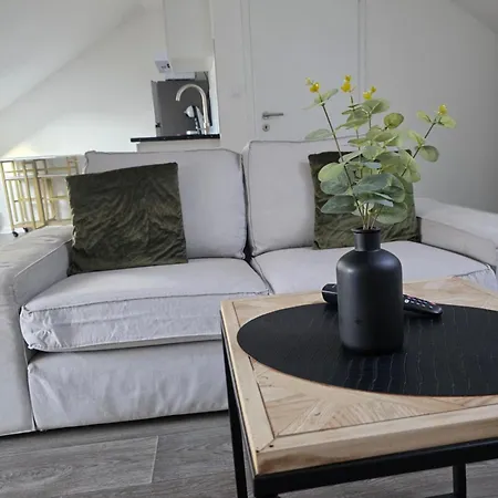 Eucalyptus  Centre Ville, Stationnement Gratuit Et Proche Tram * Mulhouse