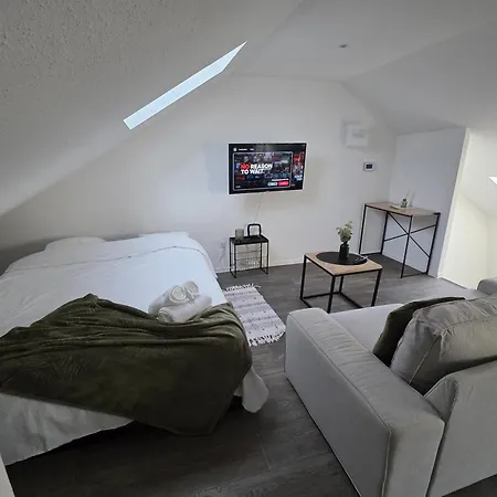 Appartement Eucalyptus  Centre Ville, Stationnement Gratuit Et Proche Tram Mulhouse