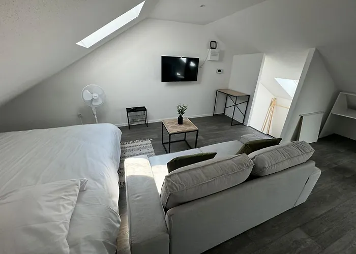 Eucalyptus  Centre Ville, Stationnement Gratuit Et Proche Tram Appartement Mulhouse