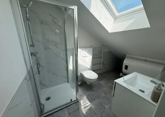Eucalyptus  Centre Ville, Stationnement Gratuit Et Proche Tram Mulhouse