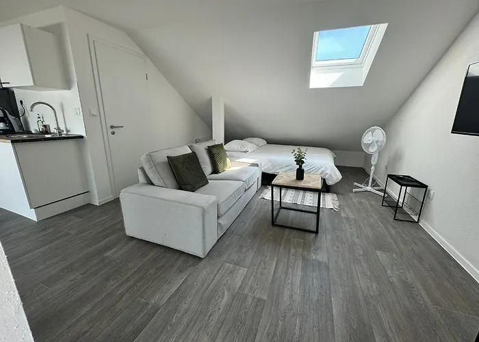 Eucalyptus  Centre Ville, Stationnement Gratuit Et Proche Tram Appartement Mulhouse
