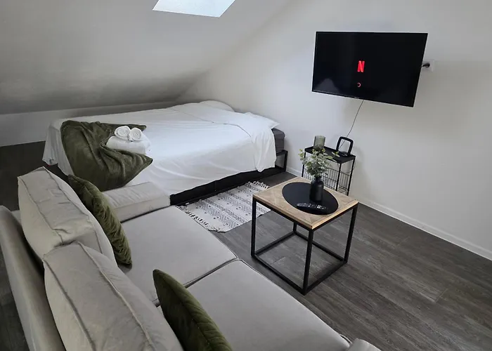Eucalyptus  Centre Ville, Stationnement Gratuit Et Proche Tram Mulhouse