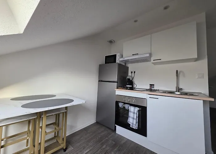 Eucalyptus  Centre Ville, Stationnement Gratuit Et Proche Tram * Mulhouse