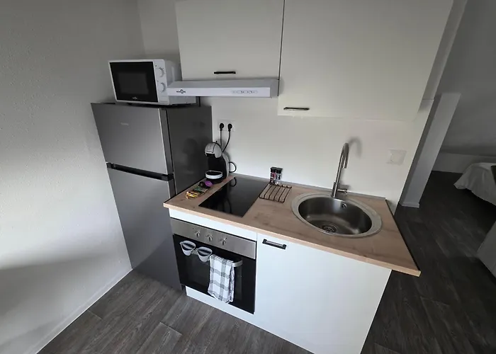 Appartement Eucalyptus  Centre Ville, Stationnement Gratuit Et Proche Tram Mulhouse