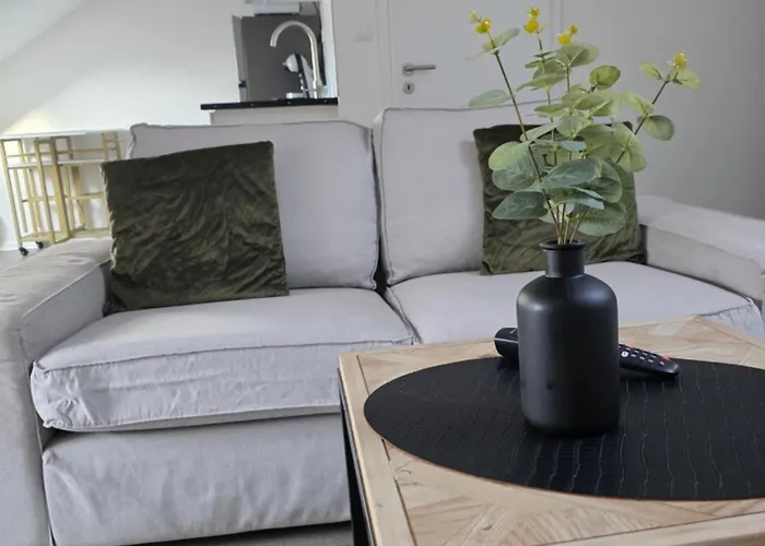 Eucalyptus  Centre Ville, Stationnement Gratuit Et Proche Tram * Mulhouse